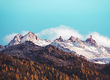 大胡子：没有料到艾弗森会这么爱我，他永远是我的偶像&amp;amp;好大哥